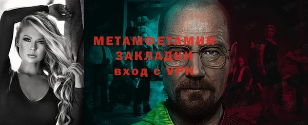 прущие грибы Нязепетровск