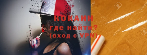 прущие грибы Нязепетровск