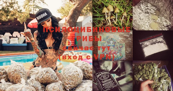 прущие грибы Нязепетровск
