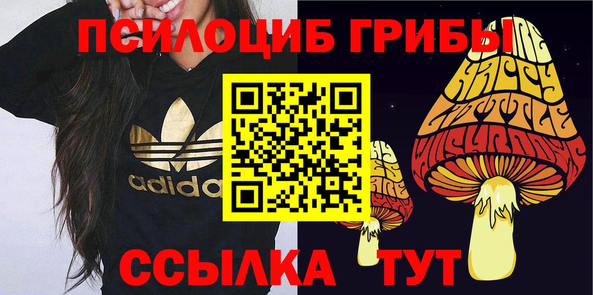 Псилоцибиновые грибы Psilocybine cubensis Саки