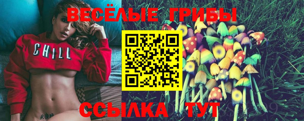 Галлюциногенные грибы Psilocybe Саки